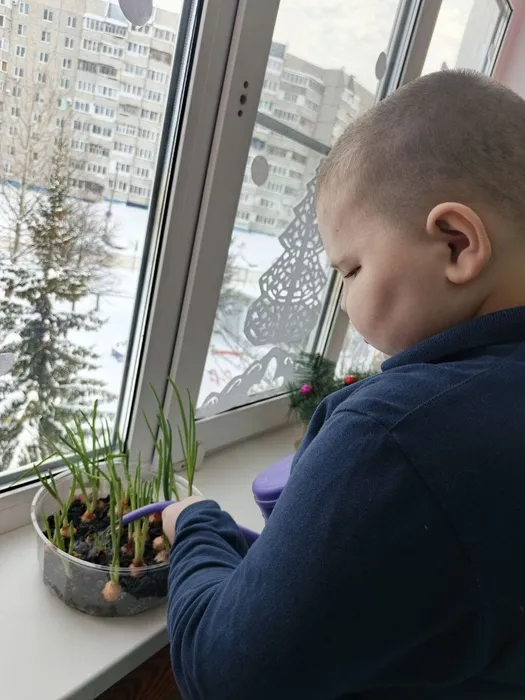 Ученик ухаживает за посадками