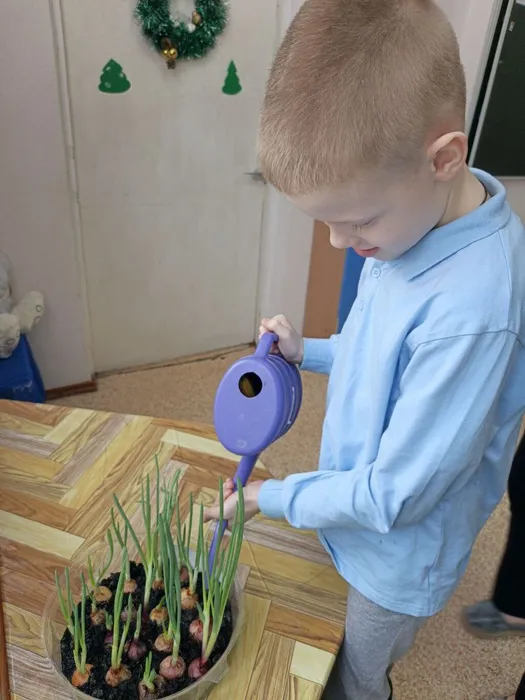 Полив зеленого лука