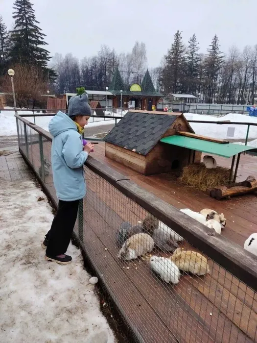 ученица наблюдает за кроликом