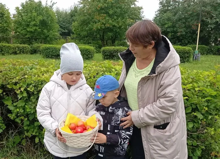 Дошколята собрали урожай с мини-огорода