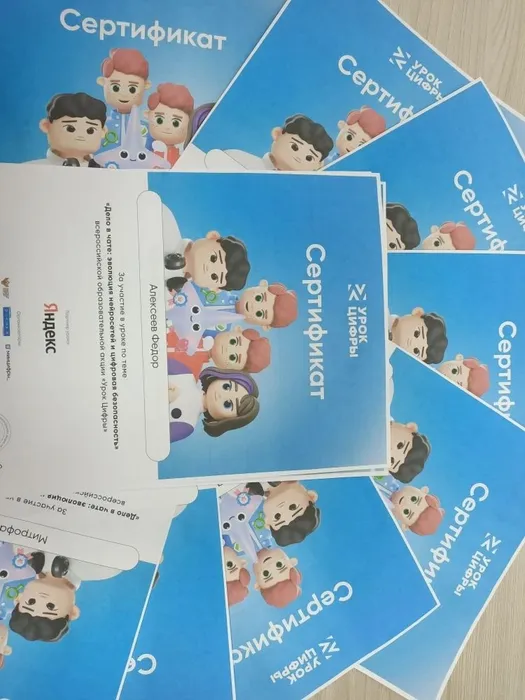 Сертификаты участников Урок цифры