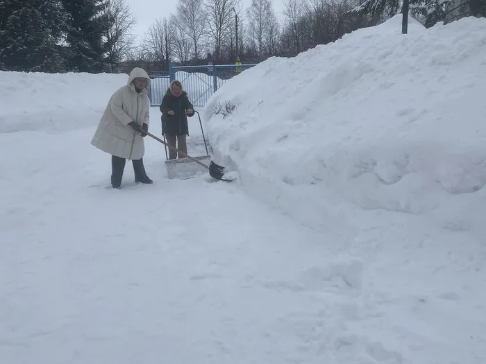 педагоги совместно чистят территорию