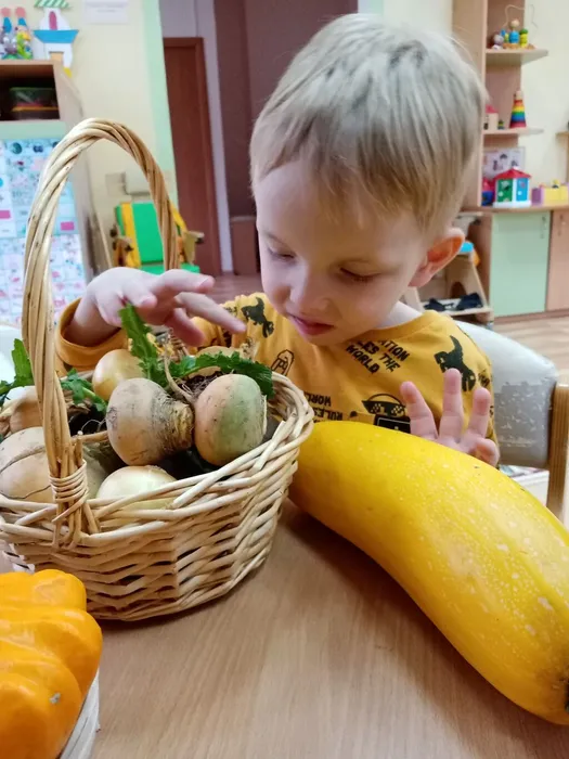 дошкольник знакомится с овощами