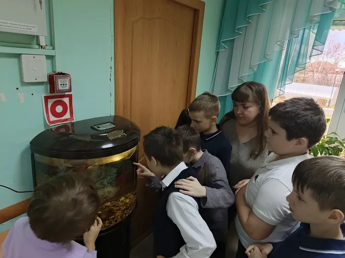 Ученики 1 К класса расматривают обитателей школьного аквариума